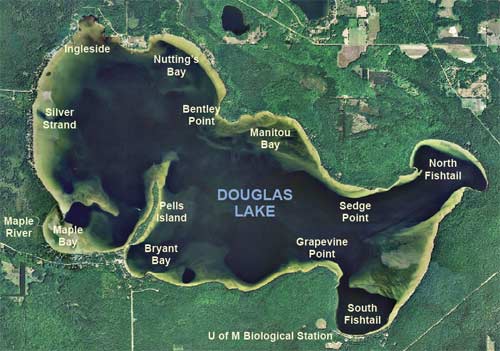 Satellite phot of Douglas Lake